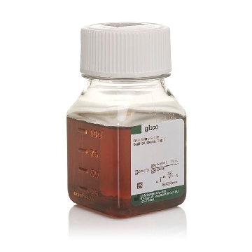 FBS QUALIFIED, CANADA ORIGIN 100ML，12483012，Invitrogen