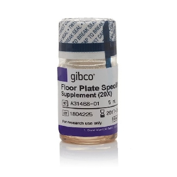 FLOOR PLATE SPEC SUPPLEMENT 5ML，A3146801，Invitrogen