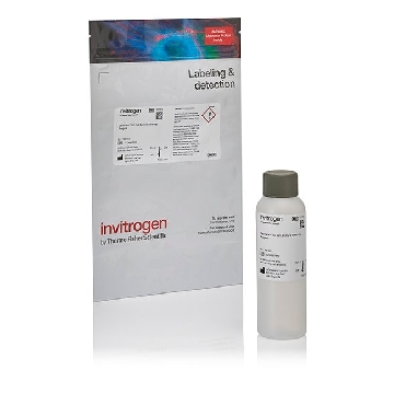 Probes CYTOVISTA 3D CUL CLEAR REAGT 100 ML，V11316，赛默飞世尔