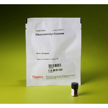 DSG, DISUCCINIMIDYL GLUTARATE EA，20593，赛默飞世尔
