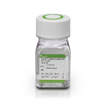 TRYPLE EXPRESS 20 X 100ML，12604039，Invitrogen
