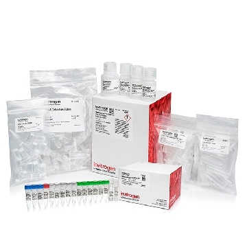 MESSAGEAMP II 20RXN (2 PART KIT)，AM1751，Applied Biosystems
