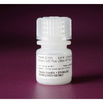 PROTEIN A/G PLUS ULTRALINK RESIN，53135，赛默飞世尔