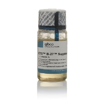 CTS B-27 SUPP XF W/O VIT A 10ML，A3353501，Invitrogen