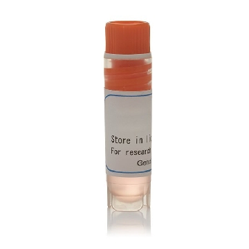 HUMAN OAT1 SLC TRANSPORTER 1.0ML/VIAL，GM1003，Invitrogen