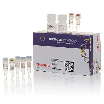 Pierce Magnetic TiO2 Phosphopetide Kit，F-150BID，赛默飞世尔