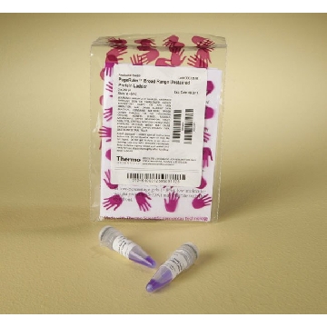 PAGERULER BROAD RANGE UNSTAINE D PROTEIN LADDER,，26630，赛默飞世尔