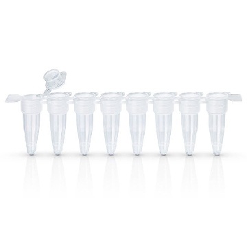 EasyStrip Plus /Flat Caps，AB-2000，赛默飞世尔