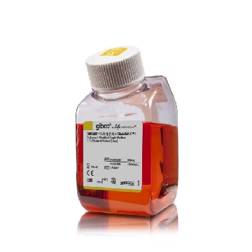 DMEM/NUT.MIX F-12 W/GLUT-I 10X500ML，31331093，Invitrogen