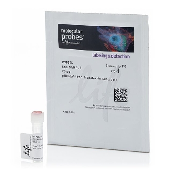 PHRODO RED TRANSFERRIN CONJUG 1 MG，P35376，Invitrogen