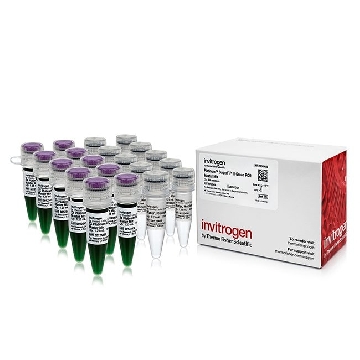 PLATINUM SUPERFI II GREEN MM 500 RXN，12369050，Applied Biosystems