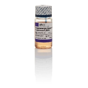 DN MATURATION SUPPLEMENT 10ML，A3147401，Invitrogen