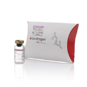 REC. HUMAN FGF-BASIC 1000 UG BIOSOURCE (TM)，PHG0023，Invitrogen