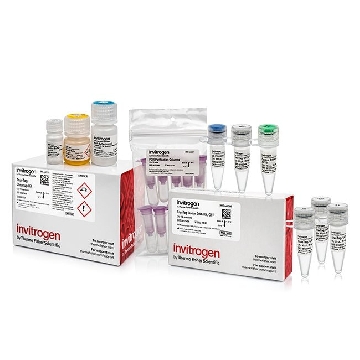 TRUETAG DONOR KIT GFP 1 KIT，A42992，Applied Biosystems