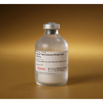 PIERCE RECOMBINANT PROTEIN AG, 500 MG.，77678，赛默飞世尔