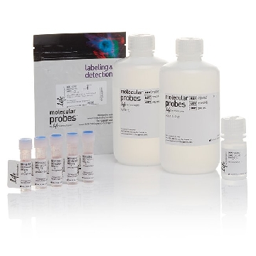 PHRODO GREEN S AUREUS FLOW KIT kit，P35382，Invitrogen