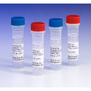 SUPERSIGNAL MOLECULAR WEIGHT PROTEIN LADDER，84785，赛默飞世尔