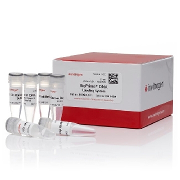 BIOPRIME DNA LABELING SYSTEM 30 RXN.，18094011，Invitrogen