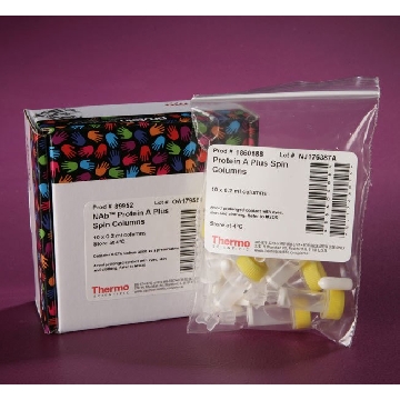 NAB PROTEIN A PLUS SPIN COLUMNS, 0.2 ML.，89952，赛默飞世尔