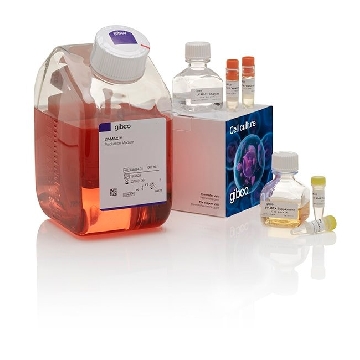 LV-MAX LENTIVIRAL SYSTEM KIT EA，A35684，Invitrogen