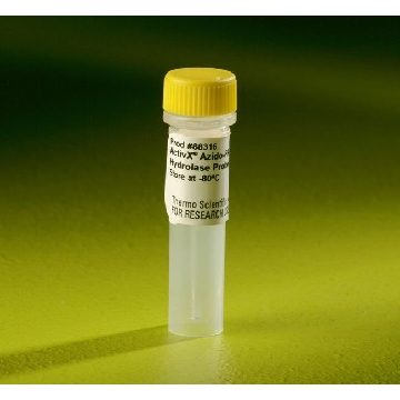 ACTIVX AZIDO-FP SERINE HYDROLASE PROBE, 3.5 UG.，88316，赛默飞世尔