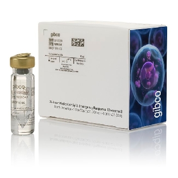 BFGF 10 UG，13256029，Invitrogen