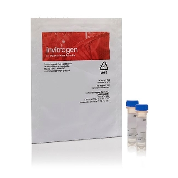 RED/GREEN BODIPY PC-A2 100 UG，A10072，Invitrogen