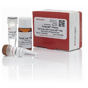 PURELINK DNASE SET PURELINK DNASE SET 50 PREPS，12185010，Invitrogen