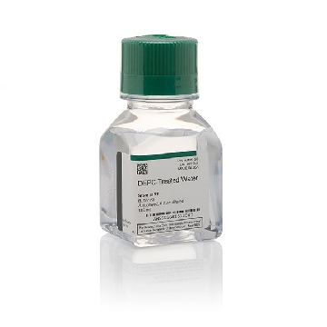 DEPC-TREATED WATER 5 X 100 ML EACH，AM9916，Applied Biosystems