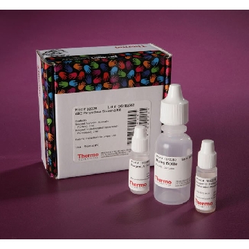 ABC PEROXIDASE STAINING KIT STANDARD, 1 EA，32020，赛默飞世尔