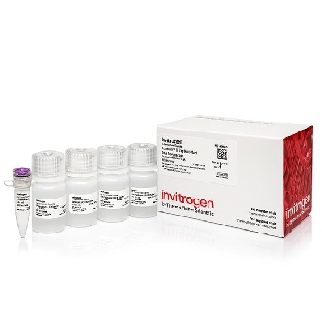 PLATINUM II TAQ HS DNA POL 2500 RXNS，14966025，Applied Biosystems