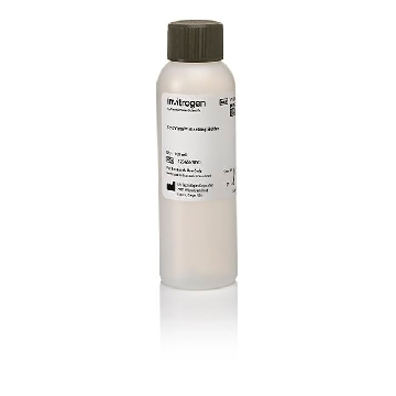 Probes CYTOVISTA BLOCKING BUFFER 100 ML，V11308，赛默飞世尔