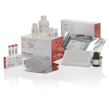 QGS 384-WELL ASSAY KIT, 50 PLT EACH，QS0384，Affymetrix