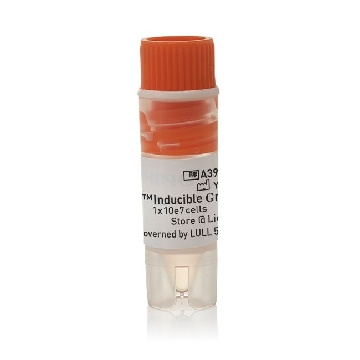EXPI293F INDUC GNTI- CELLS EA，A39242，赛默飞世尔