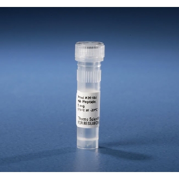 HA PEPTIDE EA，26184，赛默飞世尔