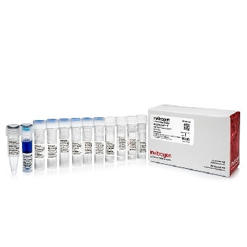 Transfer SKU MMESSAGE MMACHINE T3 KIT 25RXNS，AM1348，赛默飞世尔