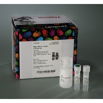 HRV3C PROTEASE 1000 UNITS (500 UL)，88946，赛默飞世尔
