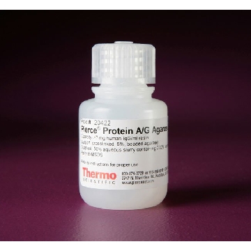 PIERCE(R) PROTEIN A/G AGAROSE, 15 ML OF GEL，20422，赛默飞世尔