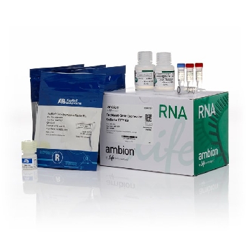 Transfer SKU FG, TAQMAN GE CELLS-TO-CT (400 RXN.)，AM1729，赛默飞世尔