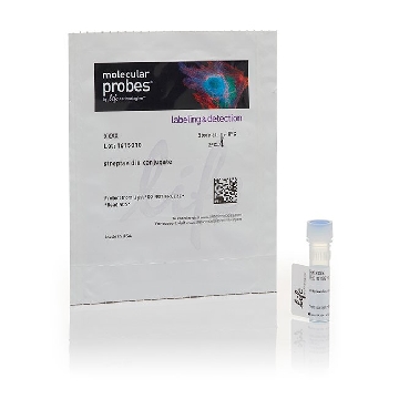 STREPTAVIDIN, AF647-RPE 100 UL，S20992，Applied Biosystems