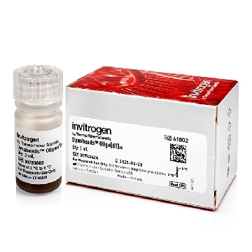 Transfer SKU DYNABEADS OLIGO (DT)25 2 ML，61002，赛默飞世尔