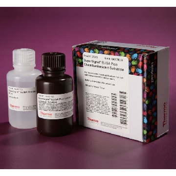 SUPERSIGNAL  ELISA PICO CHE MILUMINESCENT SUBSTRATE，37070，赛默飞世尔