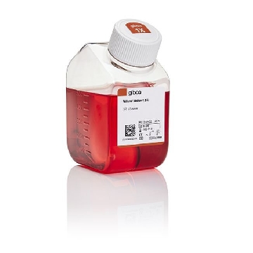 WILLIAMS MED E 500ML，12551032，Invitrogen