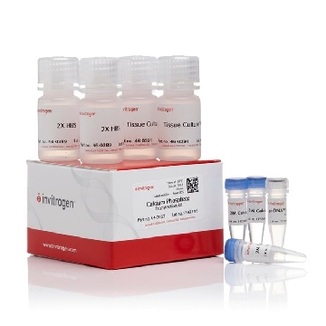 KIT,CALCIUM PHOS.TRANSF. 75 RXN，K278001，Invitrogen