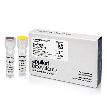 Transfer SKU FG,RNA TO CDNA EACH，4387406，赛默飞世尔