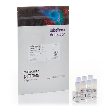 BACLIGHT REDOXSENSOR CTC VITAL 1 KIT，B34956，Invitrogen