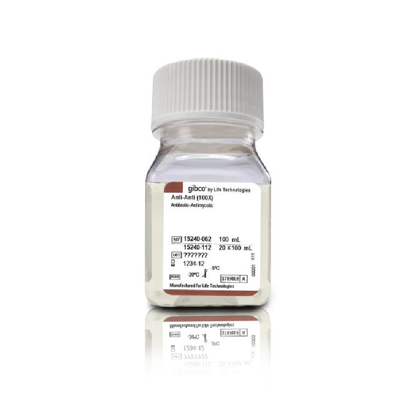 antibiotic antimycotic 20 x 100ml,15240112,invitrogen