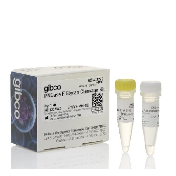 PNGASE F GLYCAN CLEAVAGE KIT EA，A39245，赛默飞世尔
