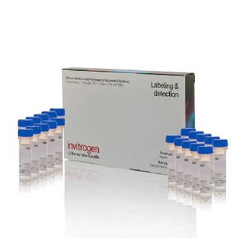 CELLTRACKER RED CMTPX 20 X 50 UG，C34552，Invitrogen