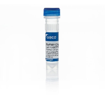 HU PLATEABLE HEPATOCYTES 5 DN CRYO VIAL，HMCPP5，Invitrogen